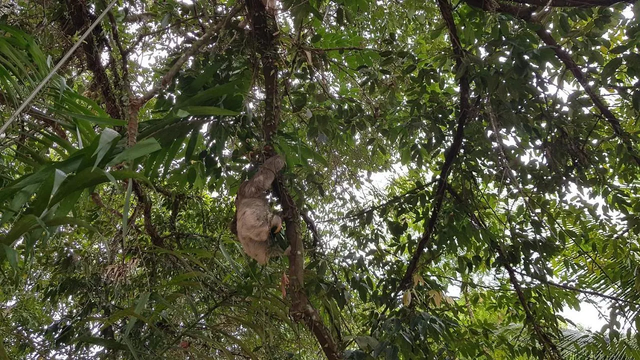 Pousada Bucaneiros Porto Seguro Herberg