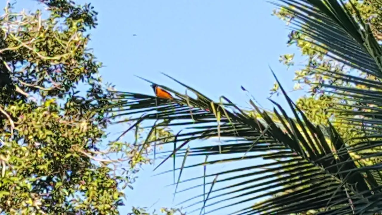 Pousada Bucaneiros Porto Seguro