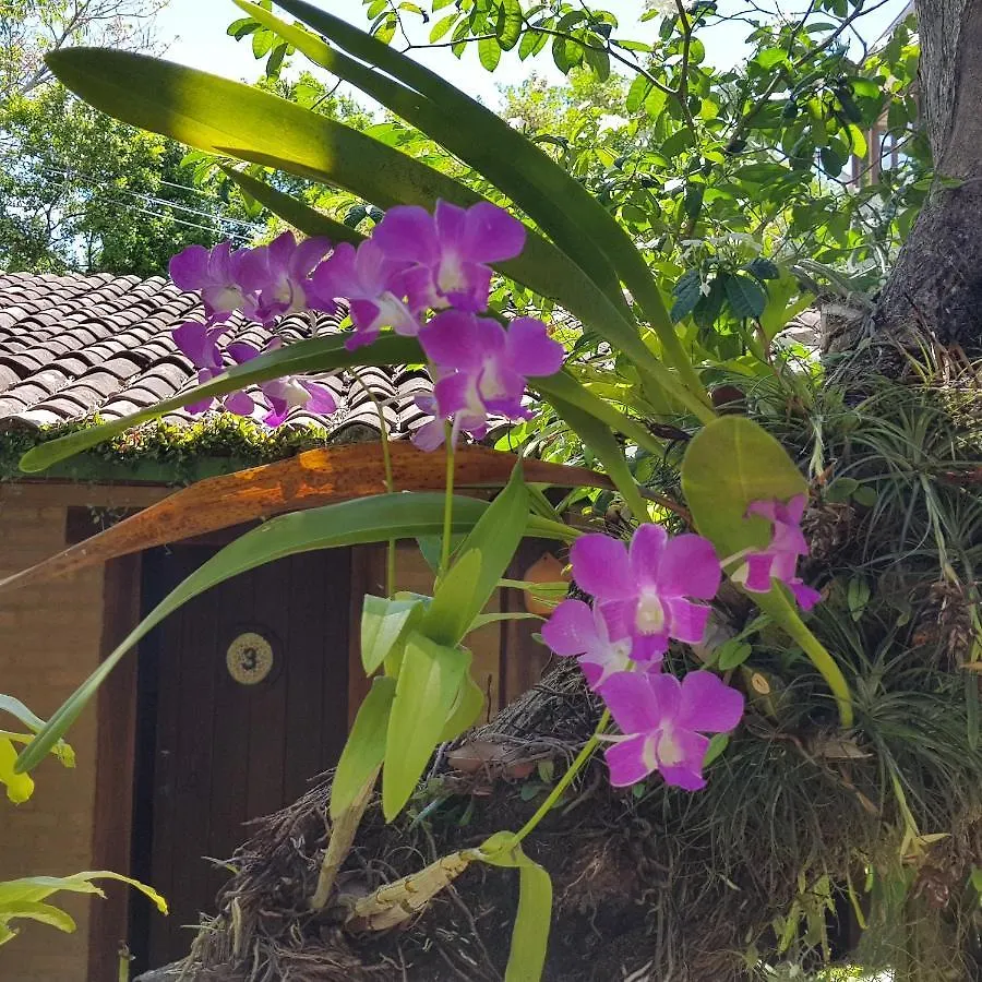 Pousada Bucaneiros Porto Seguro Brasilien